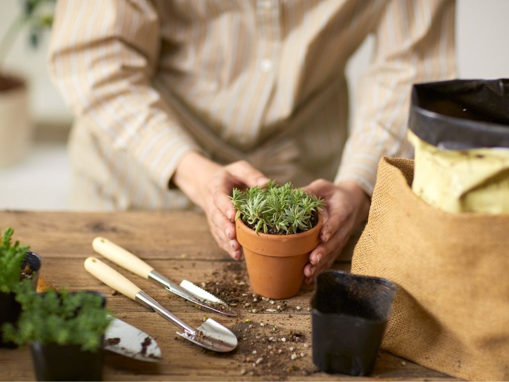learn gardening basics.jpg